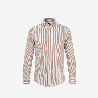 Brown Stripes Non-Iron Shirt Regular Fit